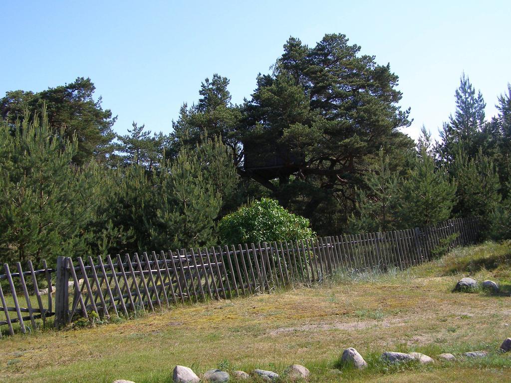 Treimani Puhkemaja Villa Стая снимка